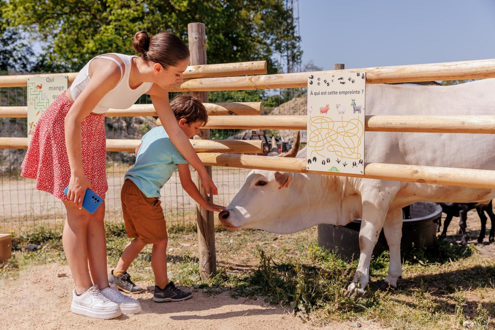 Camping Le Bois Joli Hotel Kültér fotó